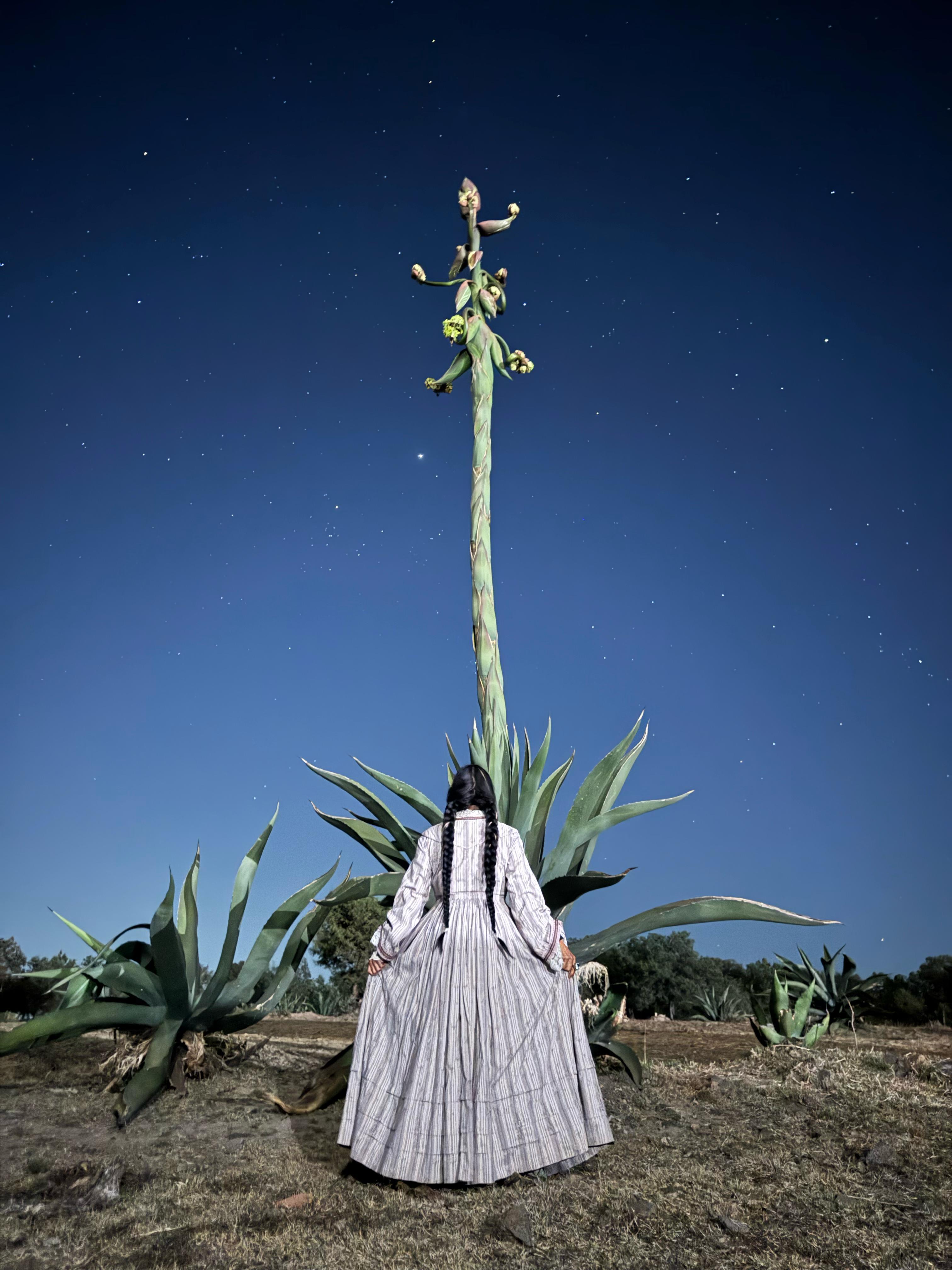 Lila Downs Portrait